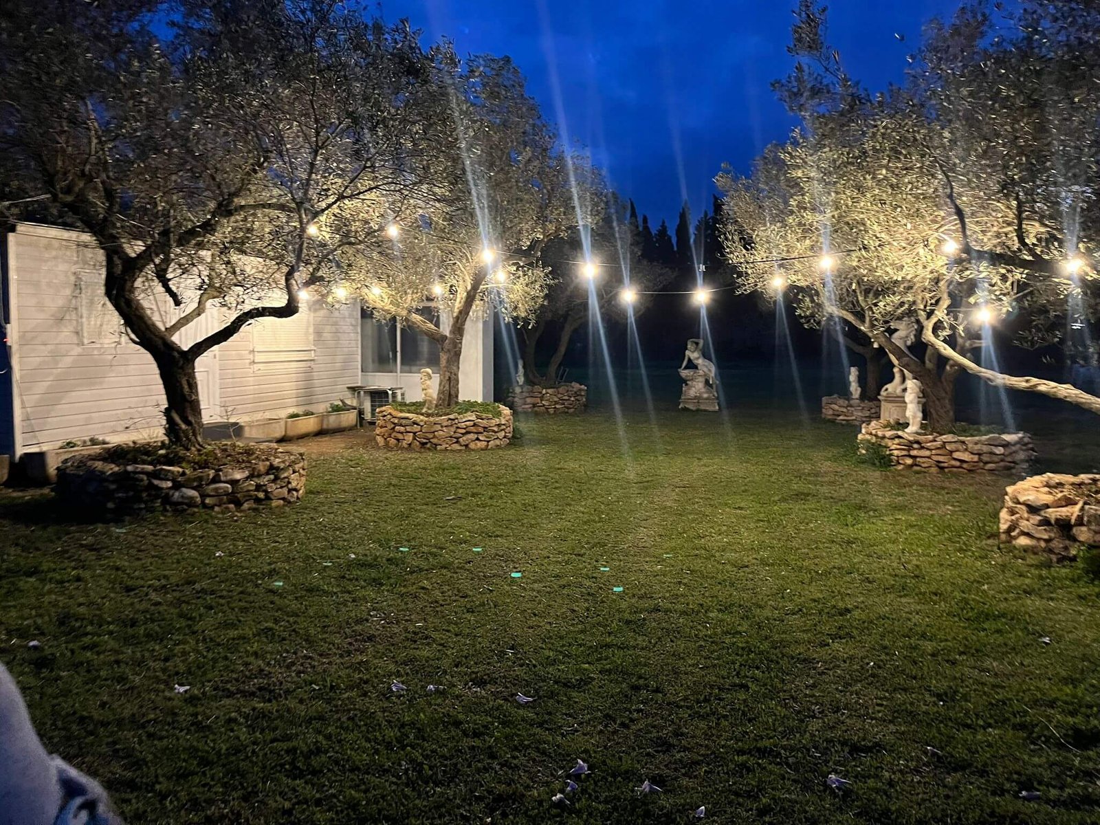 Exterior de Caseta L'illa entre oliveres