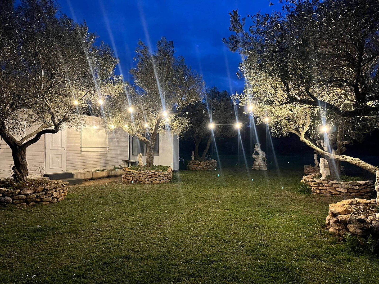 Jardí il·luminat de nit